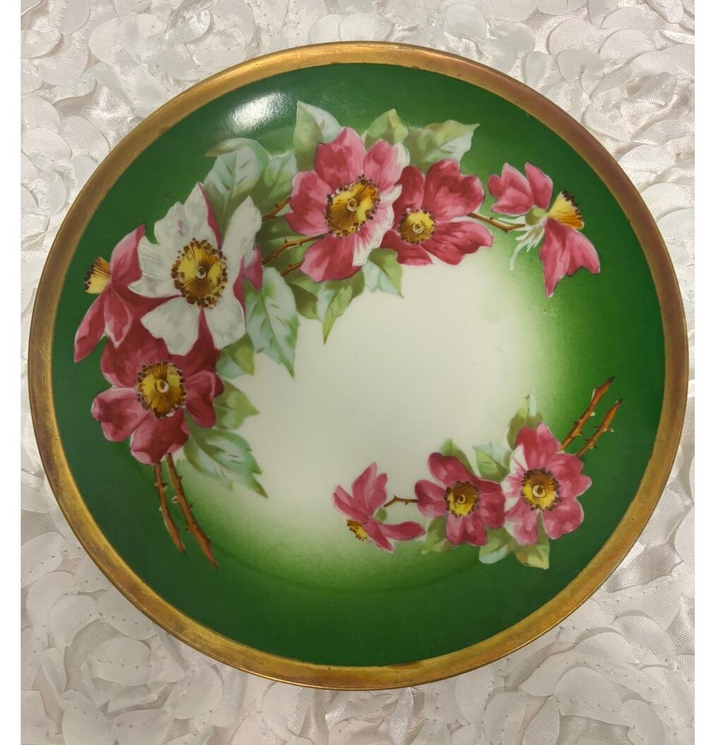 Vintage Coronet Limoges France Hand Painted Wild Rose Plate French Country